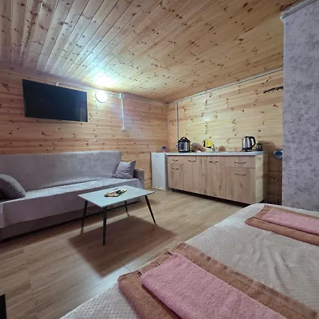 Chalet Visi