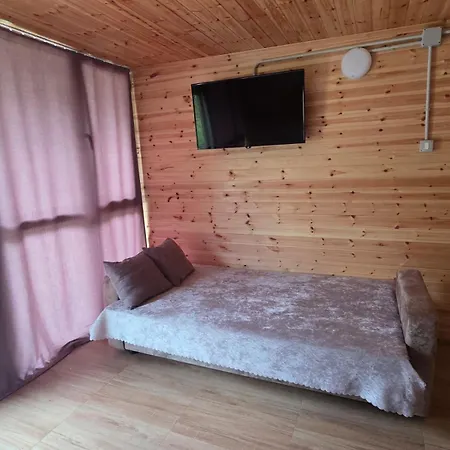Chalet Visi *
